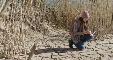 Female Explorer Looking at Compass Stock Footage 238554011