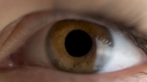 Female eye with brown iris adjusting to light Video stock 119563557