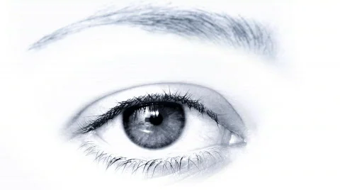 Female eye Stock-Footage 323986