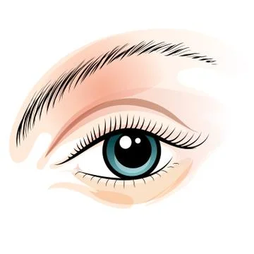 Female eye Illustrazione stock