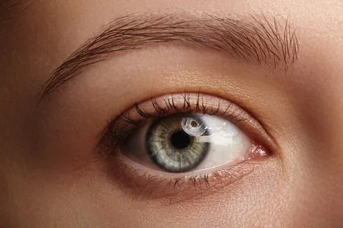 Female eye macro with subtle makeup, neat eyebrow and lashes. Tired and Stock Photos