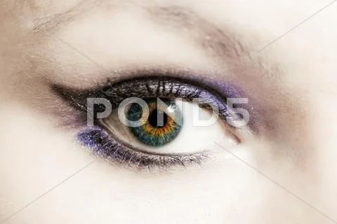 Female eye with make-up macro Stock Photos