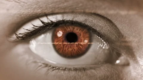 Female eye with program code. Futuristic. Brown and green. 2 colors in 1 file. Stock Footage 59586231