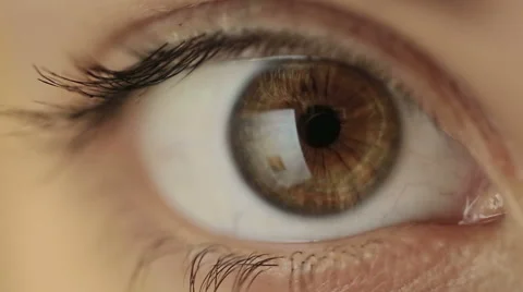 Female  Eye Reading Stock Footage 42052098