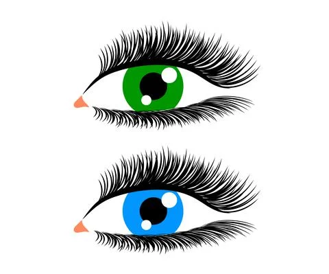 Female eye on a white background. Vector. Stock Illustration