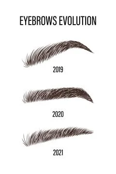 Female eyebrows evolution. Sable style brows shapes. Linear vector Illustration Stock Illustration