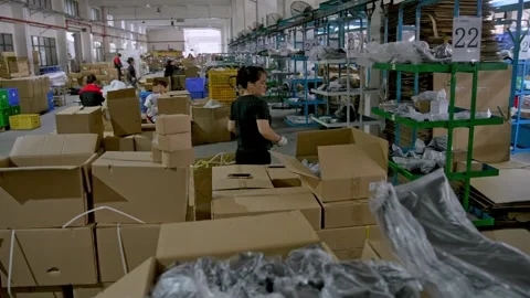 Female Factory Worker Walking between Rows of Cardboard Boxes inside Warehouse Stock Footage 337919497