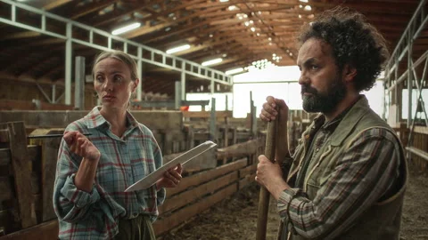 Female Farm Manager Explaining Daily Tasks to Worker in Livestock Barn Stock Footage 342035526