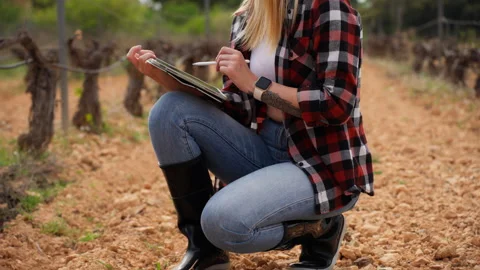 Female farmer crouching in vineyard, checking soil condition and using tabl.. Video stock 333578794