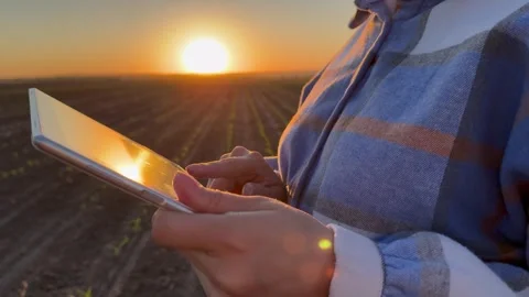 Female farmer with digital tablet working on green sprouts field, close up Stock Footage 304830917
