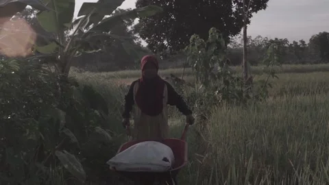 Female Farmer Stock Footage 154917512