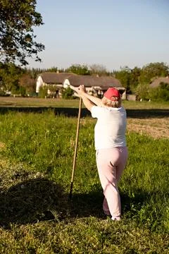 Female farmer leaning on a rake while harvesting hay in a field, rear view Stock Photos