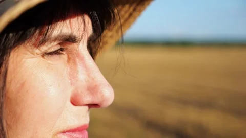 Female farmer in straw hat looking into wheat field and examining plantation at  Vídeos de archivo 333784734