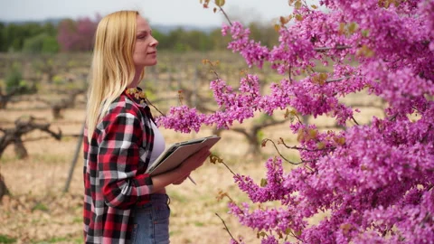 Female farmer using digital tablet technology for modern smart farming, che.. Stock Footage 334055050