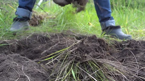 Female farmer using hands for prepare the soil for planting vegetables Stock Footage 248855430