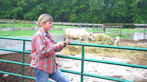 A female farmer using a mobile cell phone on a cattle farm with livestock Stock Footage 156185423
