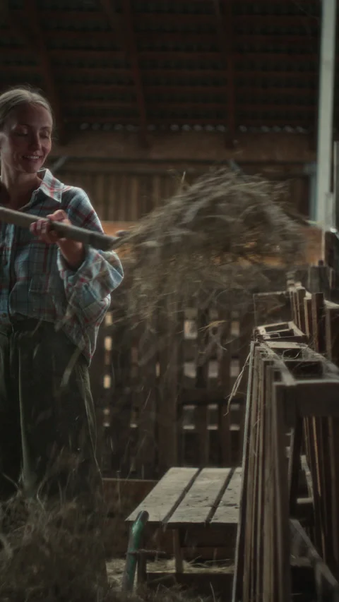 Female Farmer Using Pitchfork to Feed Dry Hay to Cattle in Barn Video stock 342034541