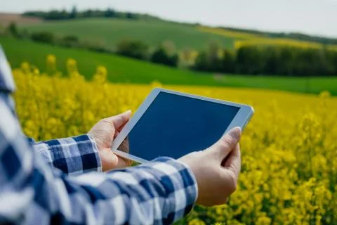 Female farmer using tablet Stock Photos