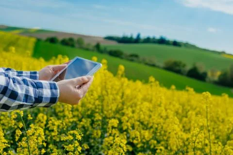 Female farmer using tablet Stock Photos