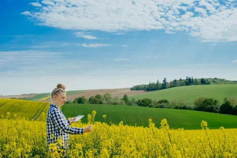 Female farmer using tablet Stock Photos
