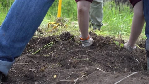 Female farmer using tools hand-held soil drilling cultivator tool or portable Stock Footage 238909475