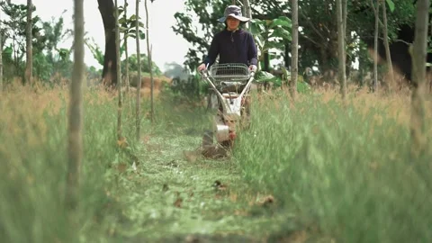 A female farmer is using a walk-behind lawn mower in the garden. Vídeos de archivo 234956826