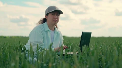 Female farmer works on computer in field. Female businesswoman with laptop works Stock Footage 336516428