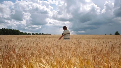 Female In The Field Of Wheat Stock Footage 81124595