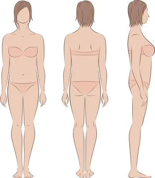 Female figure. Front, back, side. Stock Illustration