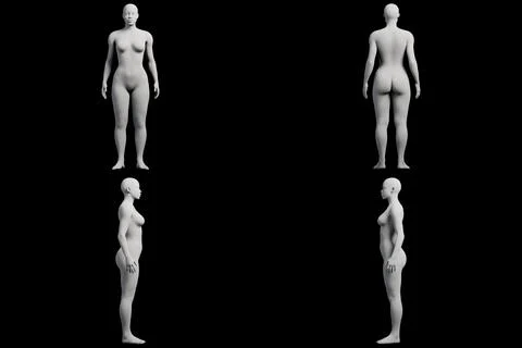 Female figure model in 4-view collage Stock Illustration