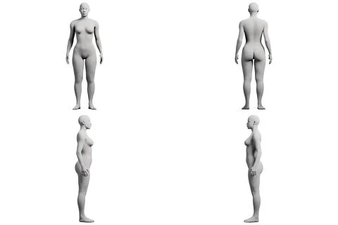 Female figure model in 4-view collage Stock Illustration