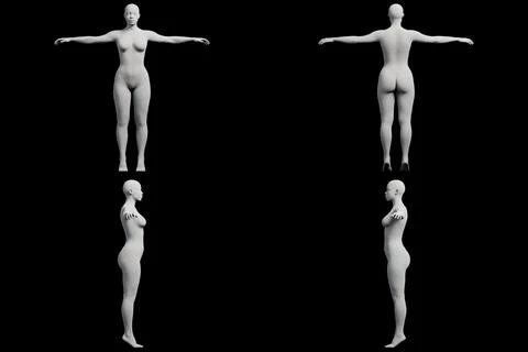 Female figure model in 4-view collage Stock Illustration