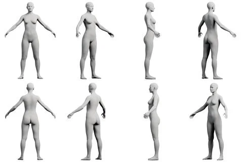 Female figure model in 8-view studio Stock Illustration