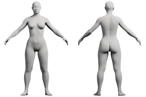 Female figure model standing front and back in studio Stock Illustration