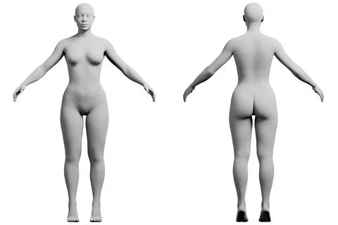 Female figure model in studio front and back Stock Illustration