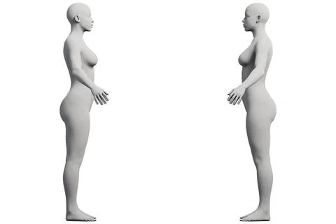 Female figure model in studio grid Stock Illustration