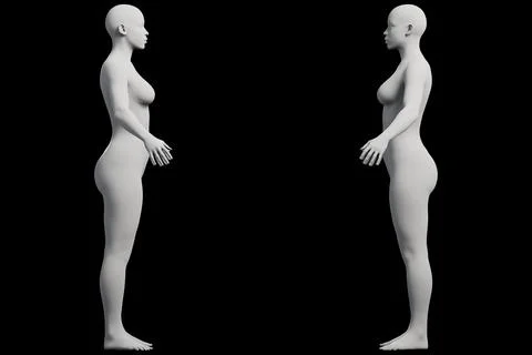 Female figure model in studio grid Illustrazione stock