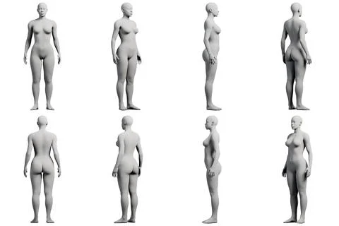 Female figure model in studio grid Stock Illustration