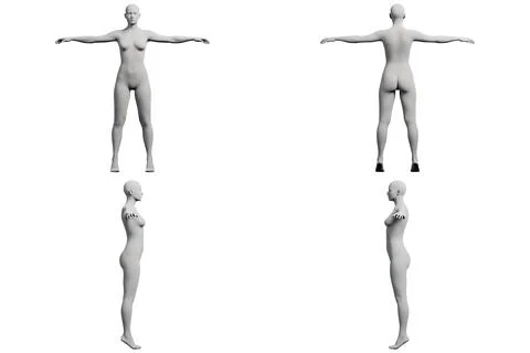 Female figure model in studio grid Stock Illustration