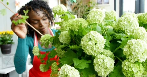 Female Flower Stock Footage ~ Royalty Free Stock Videos | Pond5