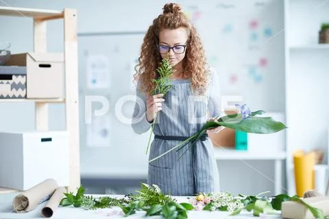 Female florist Stock Photos