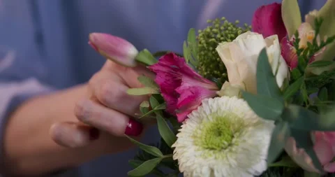 Female florist's hands remove extra petals from bud of flower. Close-up of Stock Footage 278037008