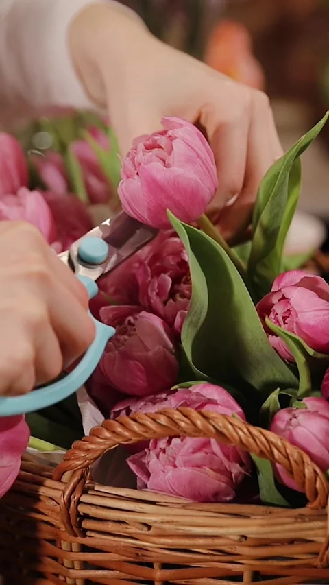 Female florist's hands remove extra petals from bud of flower. Close-up of Stock Footage 280388881