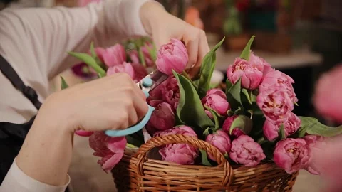 Female florist's hands remove extra petals from bud of flower. Close-up of Stock Footage 281248359