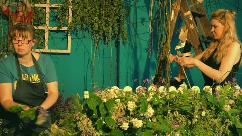 Female florists teamwork Stock Footage 77860948