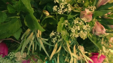 Female florists teamwork Video stock 77861137
