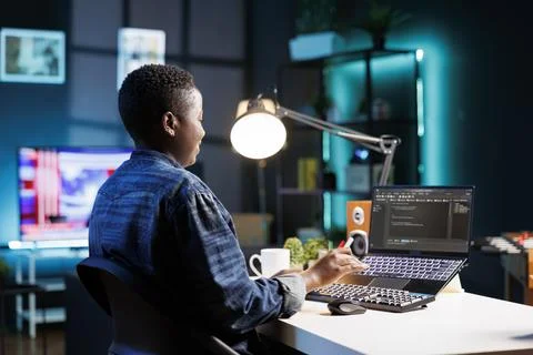 Female freelancer coding on laptop 库存照片