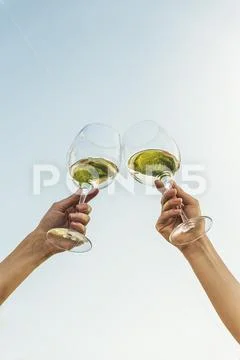 Female friends cheers clinking glasses of white wine. Stock Photos