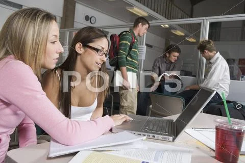 Female Friends Working On Laptop