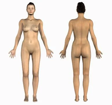 Female Front &amp; Back Stock Illustration